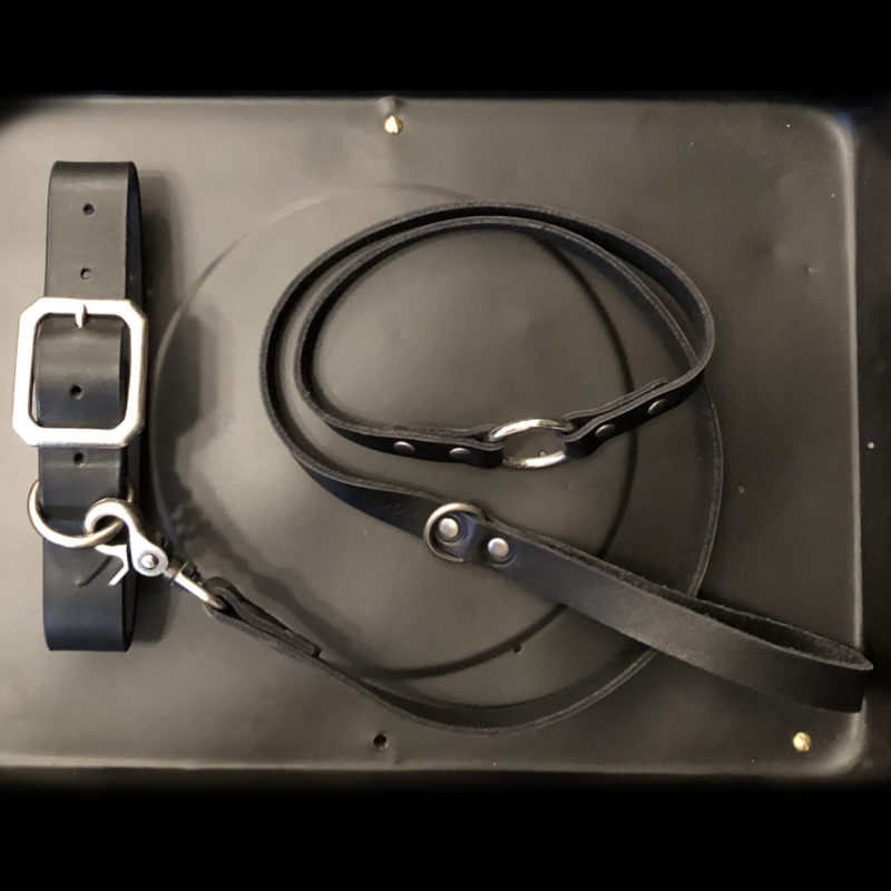 AIRMKT eCom PN XXXXXX Dean Accessories _collar leash black WEB