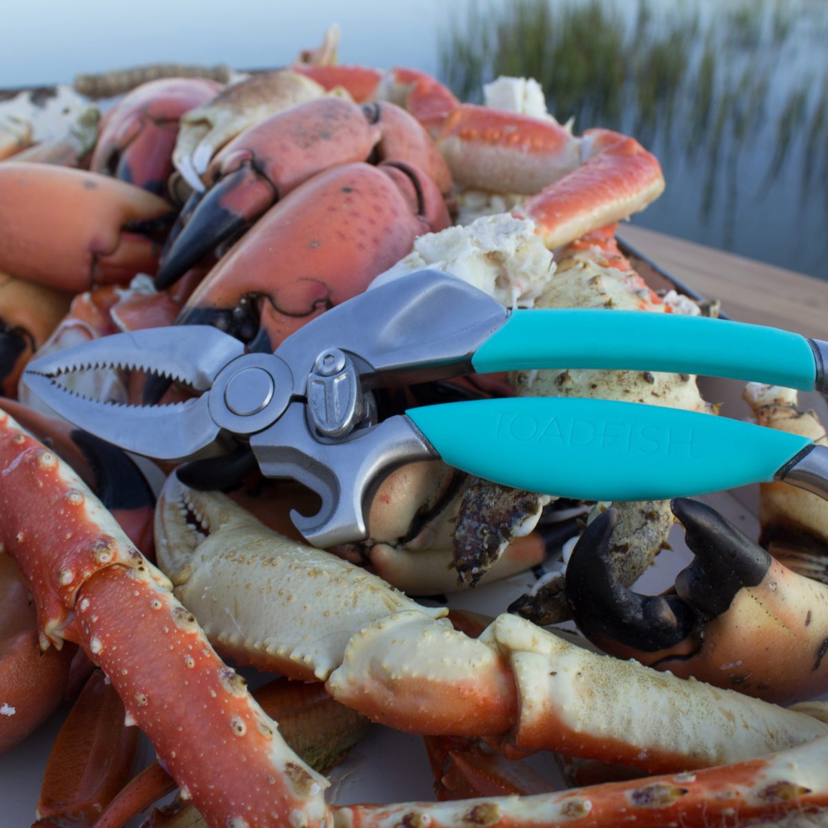 Toadfish Coastal Kitchen Collection: Crab Cracker, Shrimp Deveiner, and Toadfish Crab & Lobster Seafood Tool Set