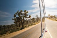 20160320-JI-Joshua Tree National Park-_DSF9293