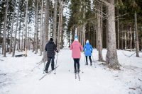 LUVLENS_COMMERCIAL_AIRSTREAM_BASECAMP_NORDICSKI-57