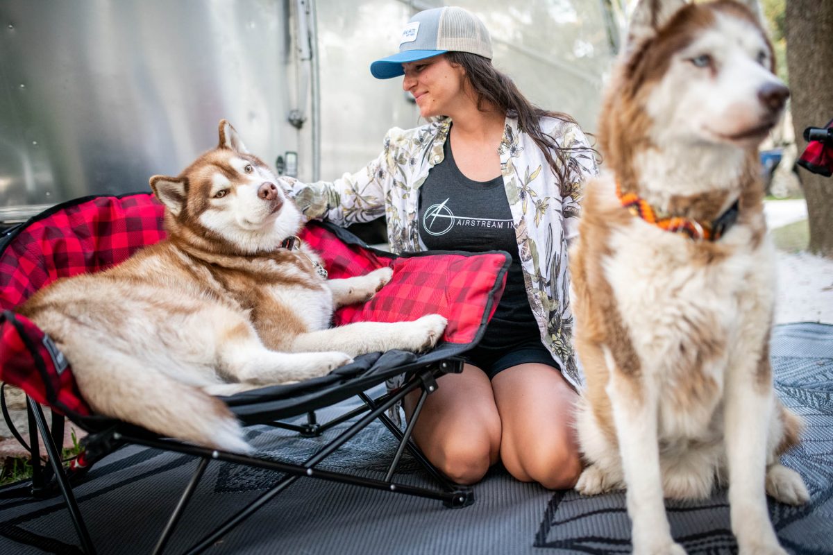kuma lazy bear camp chair stores