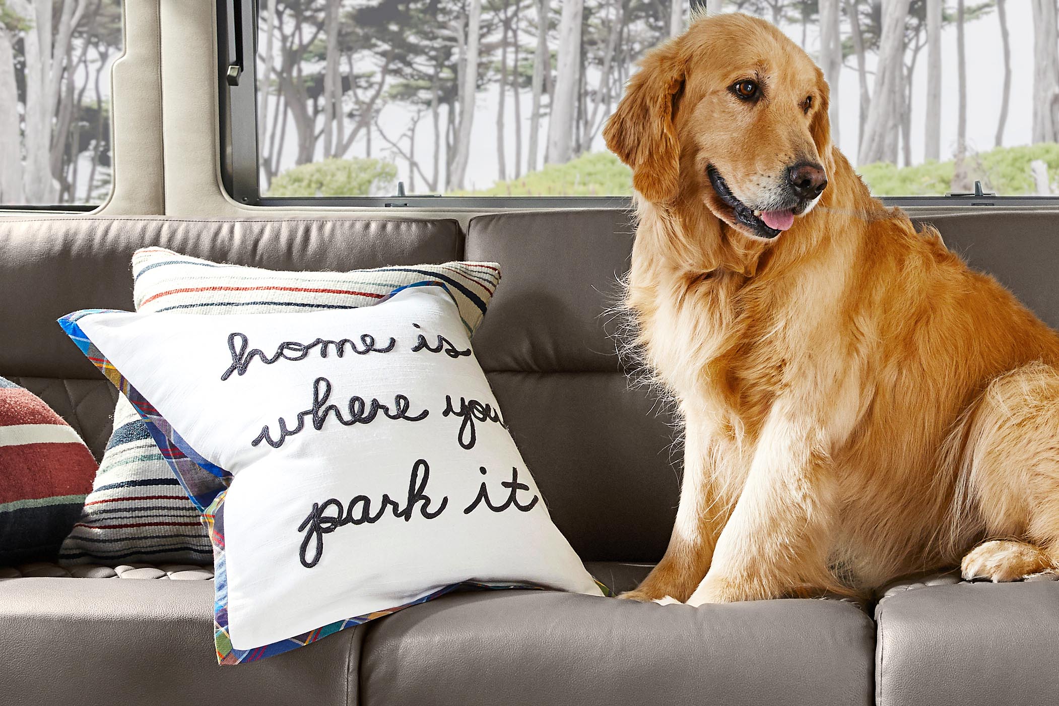 Airstream + Pottery Barn Home Is Where You Park It Pillow Dog