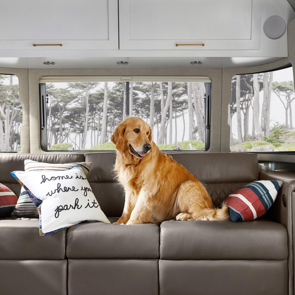 Pottery Barn Lumbar Dog Home is Where You Park It
