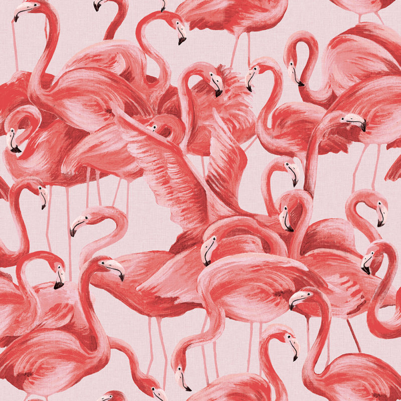 FL10538_Flamingos_Cheeky_Pink_Tempaper_swatch